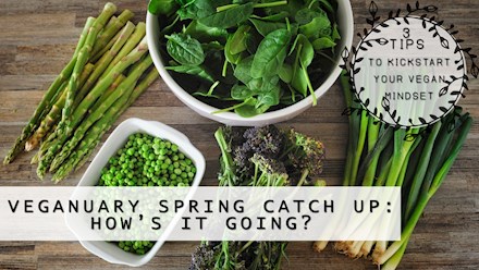 Veganuary Spring Catch Up
